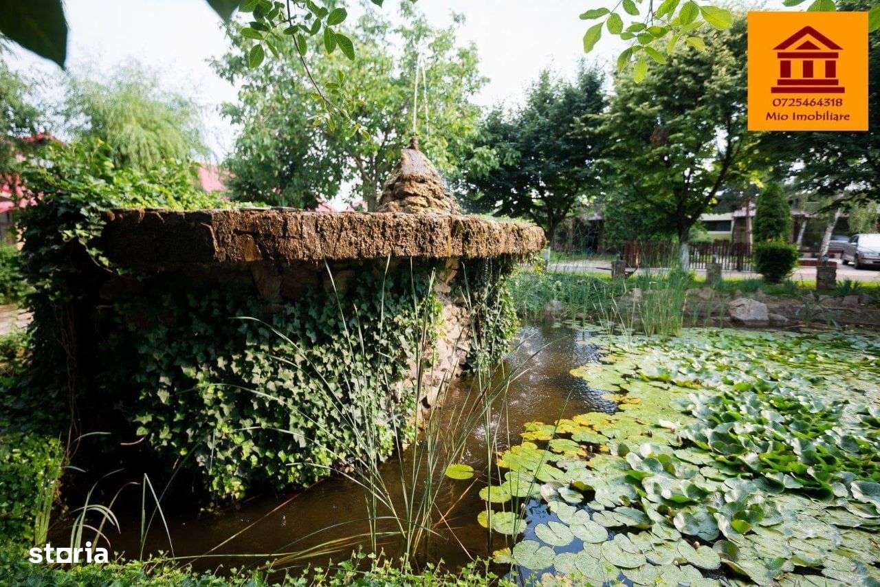 Casa Cartieru Verde-15