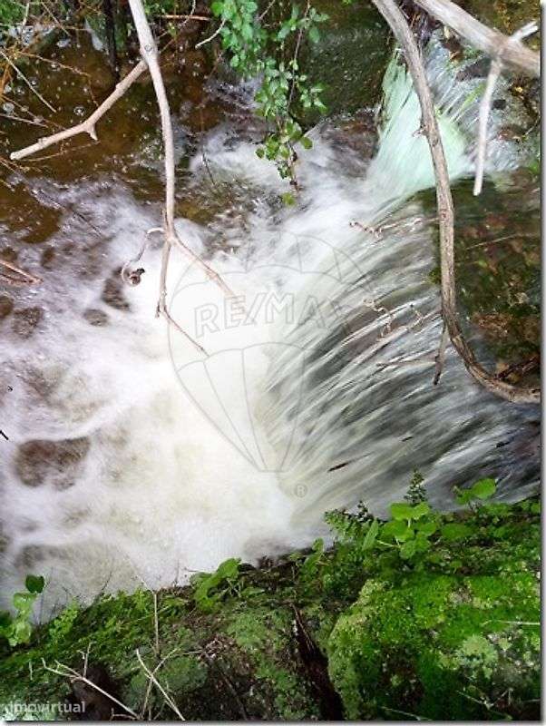 Quinta  para venda - Grande imagem: 5/38