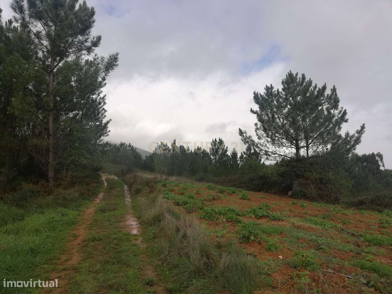 Terreno Rústico Vale Meirriço - Abrigada - Alenquer - Grande imagem: 5/11