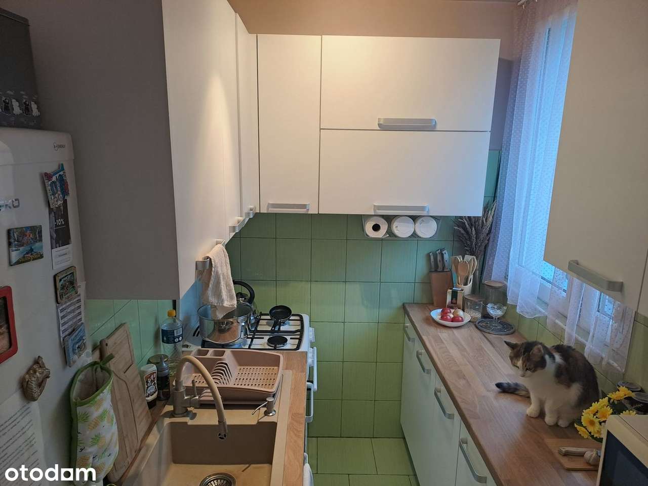 Bardzo ładna kawalerka na Dąbrowie , do wprowadzenia, do negocjacji-8