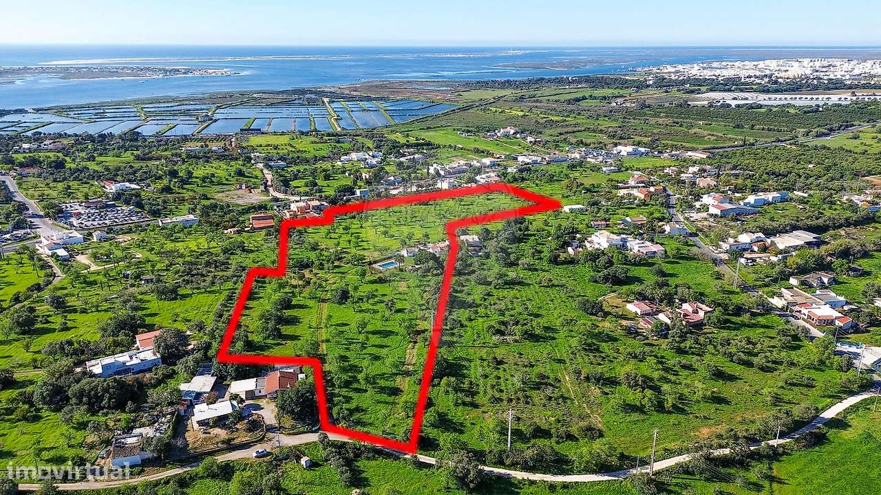 Quinta T3 para venda - Grande imagem: 4/44