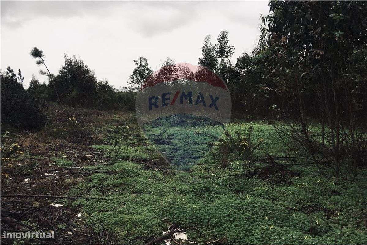 Terreno  para venda - Grande imagem: 3/5