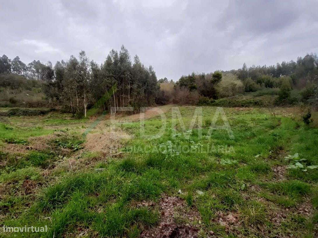 Terreno - Grande imagem: 2/8