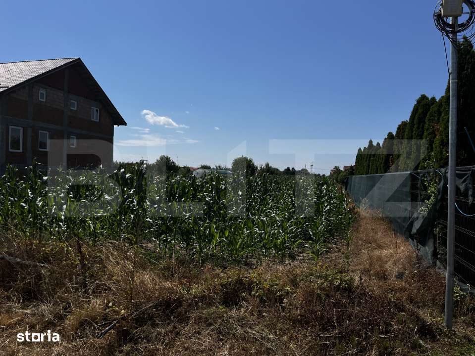 Teren extravilan de vanzare, 1267 mp, zona Draexlmaier - Imagine principală: 3/3