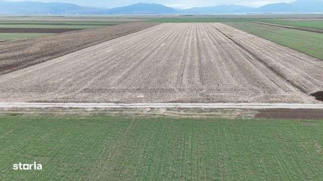 Anunț Vânzare Teren în Prejmer - Zonă Parc Industrial-4