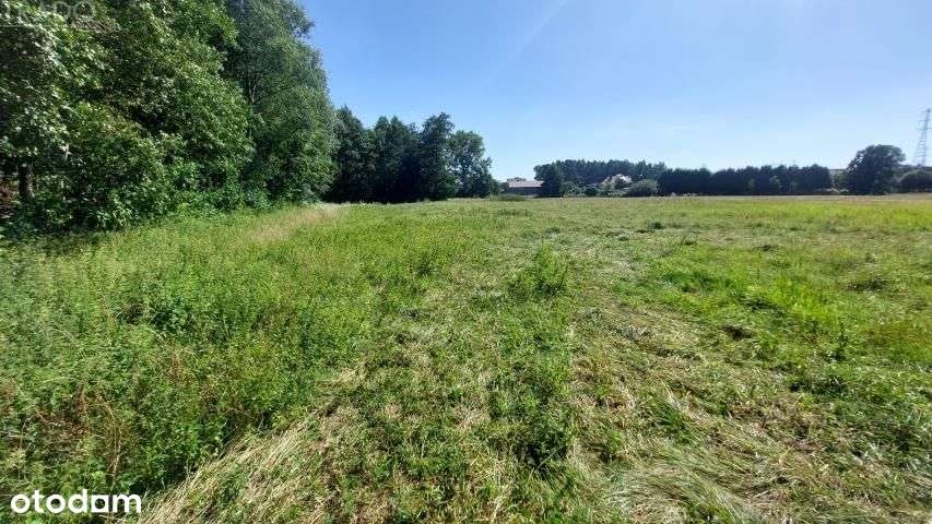 Szeroka, duża działka Ślesin-3