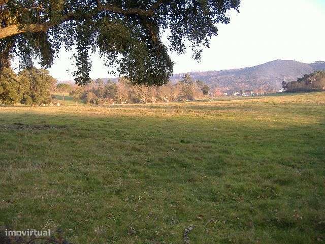 Quinta em Chaves Terreno 50 Ha (500 mil M2) Construção 1.593 m2-16