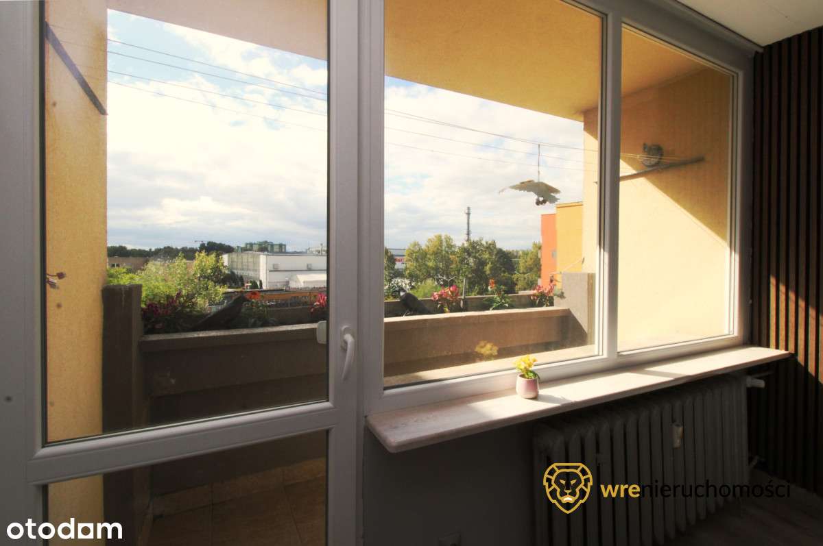 Rozkład | Słoneczne | 4 pokoje | Piwnica | - Pełny obrazek: 5/14