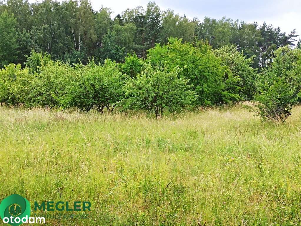 Działka niedaleko lasu-7