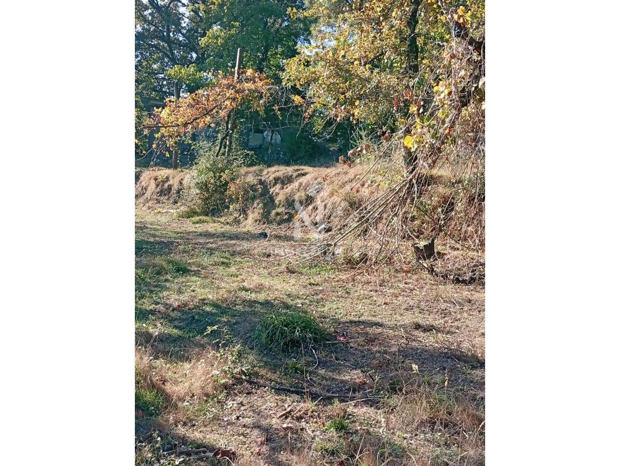 Terreno  Venda em Vade,Vila Verde - Grande imagem: 4/10