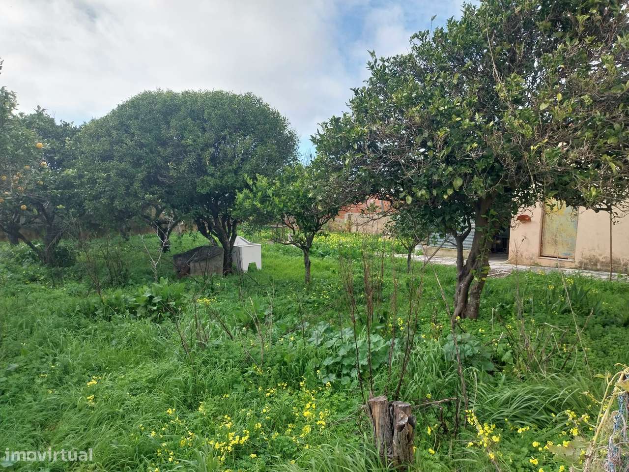 Moradia Térrea isolada na Amoreira Estoril com grande potencial.-9