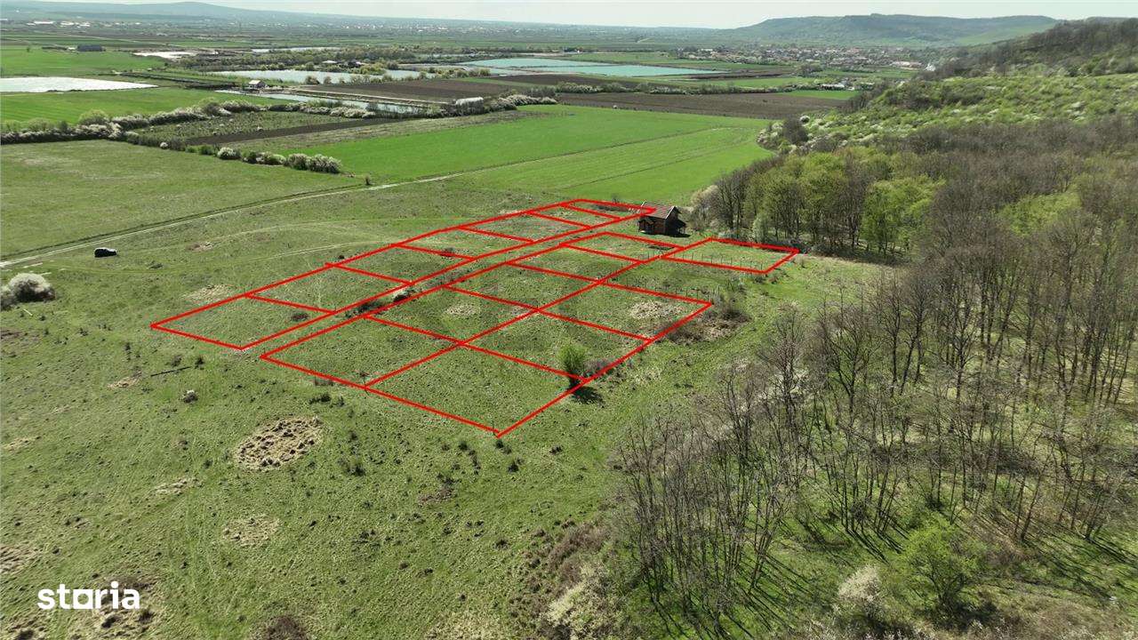 RECO , teren intravilan, Ineu,Bihor - Imagine principală: 2/4