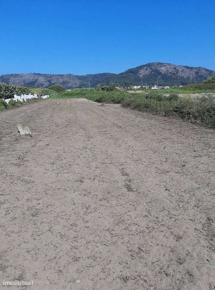 Terreno agrícola em Belinho - Grande imagem: 2/2