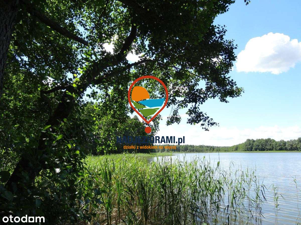 Działka z linią brzegową jeziora Wilkus - Pełny obrazek: 4/10
