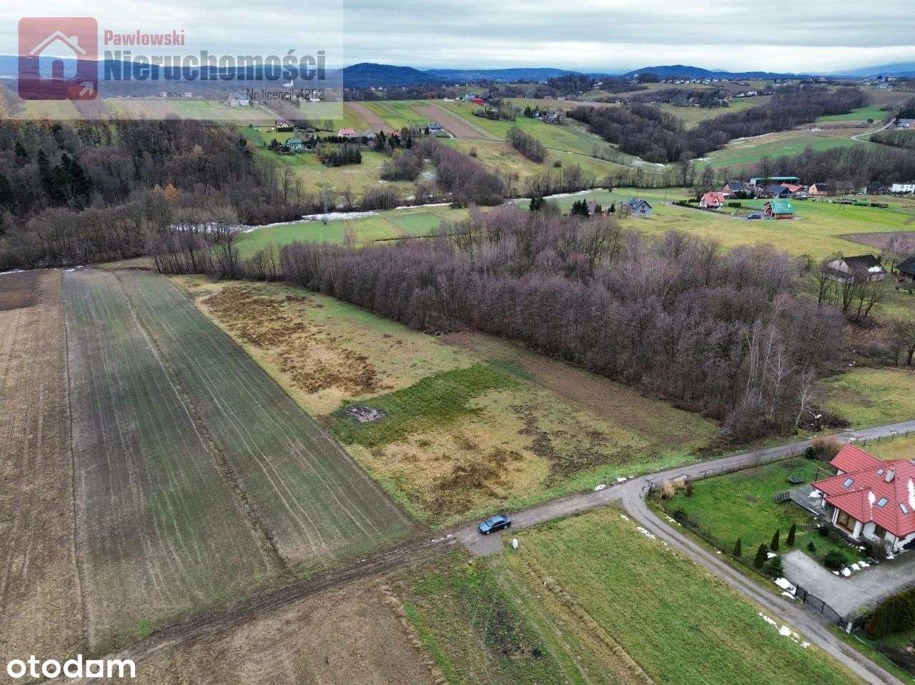 Działka, 6 000 m², Grabie-5