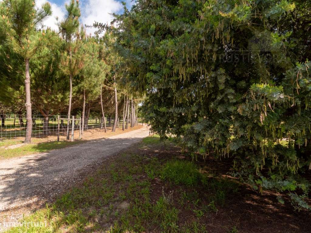 Herdade com 37 Ha com 6 Moradias para Habitação e/ou Turismo | Alcá...-18