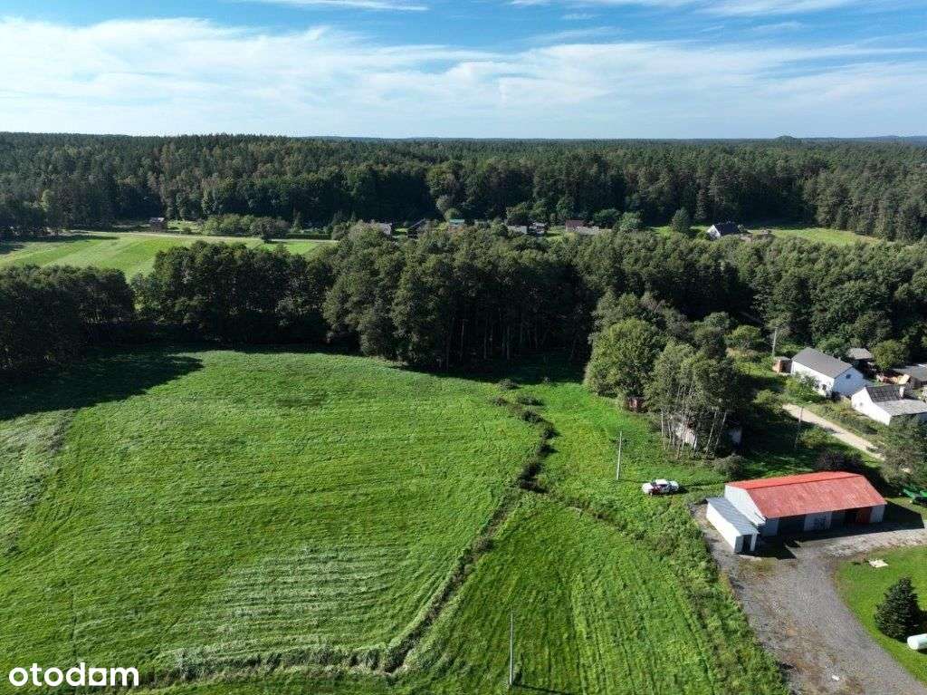 Działka pod lasem i blisko jeziora - Pełny obrazek: 4/11