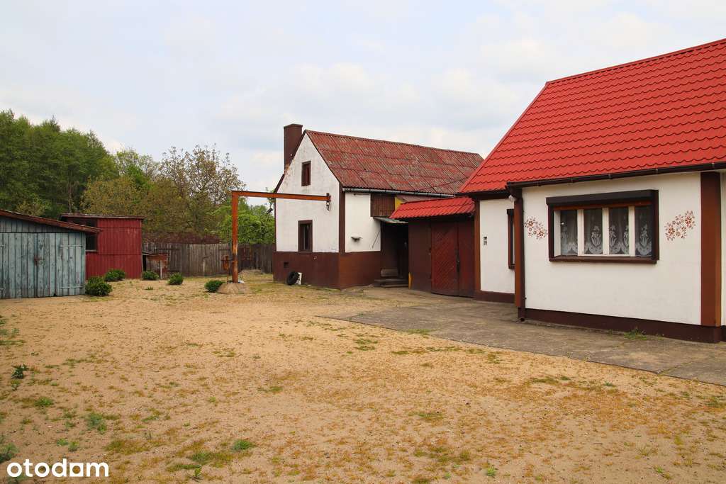 Dom w Grońsku – duża działka, budynki gospodarcze - Pełny obrazek: 4/15