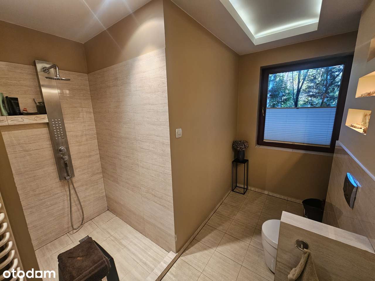 Dom wolnostojący ok. Zofiówki-9