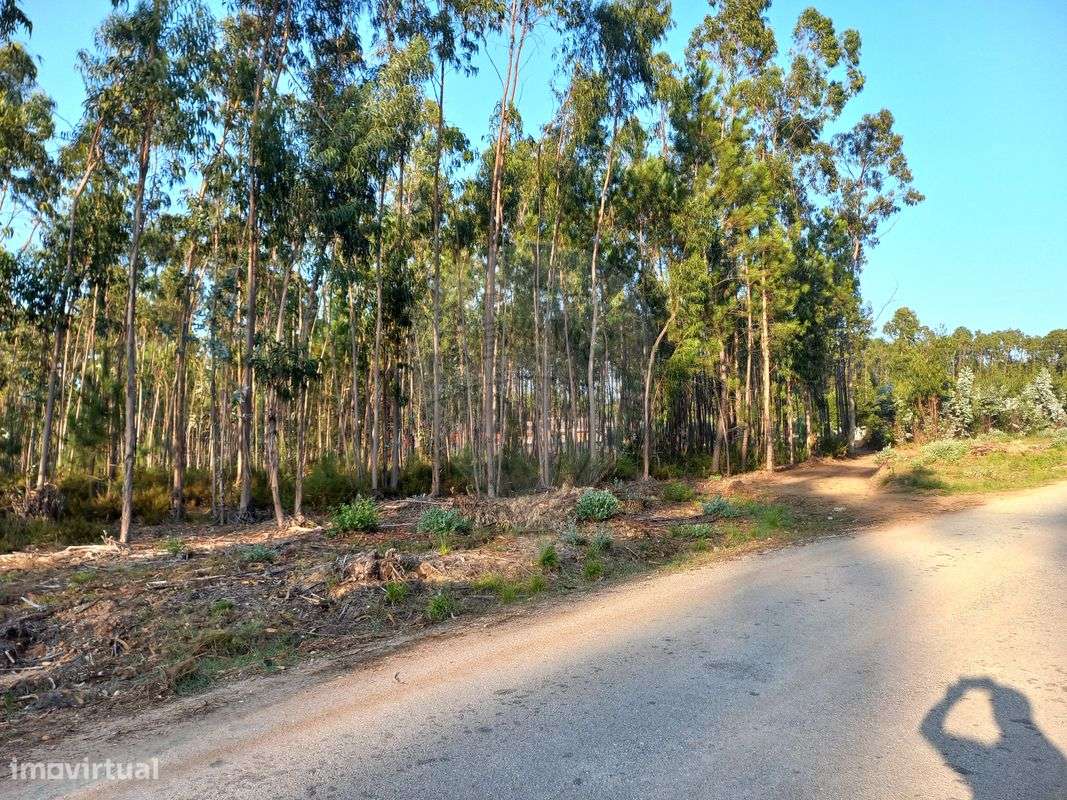 Terreno  para venda - Grande imagem: 3/3