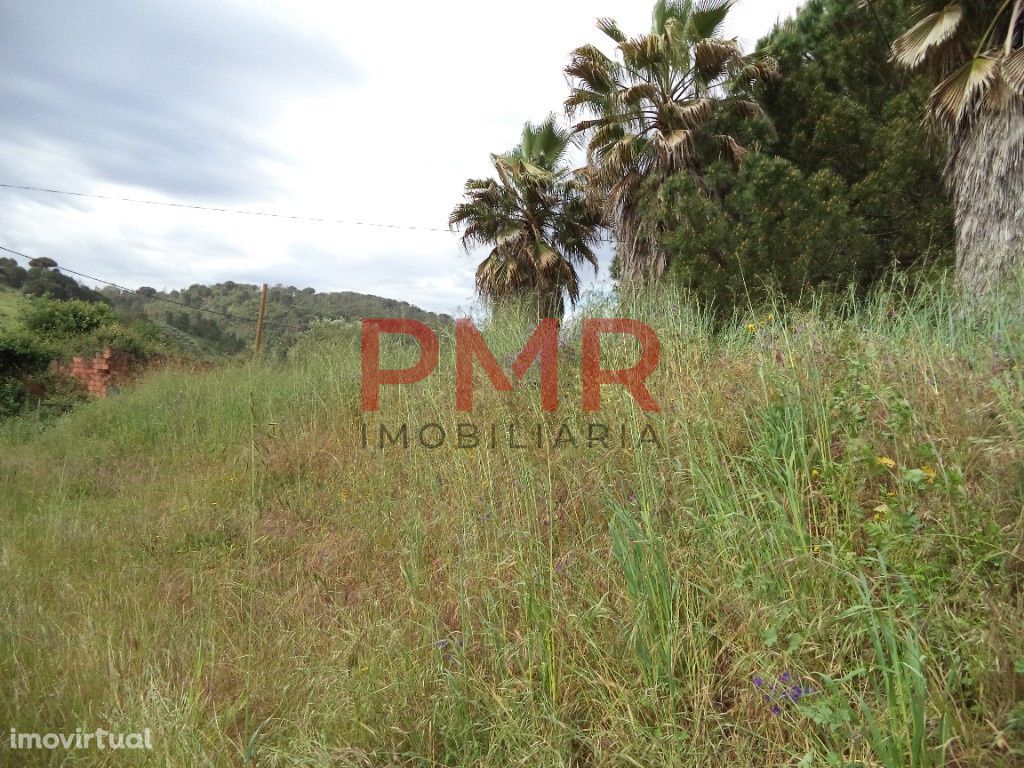 Lote de terreno em Arruda de Pisões - Rio Maior