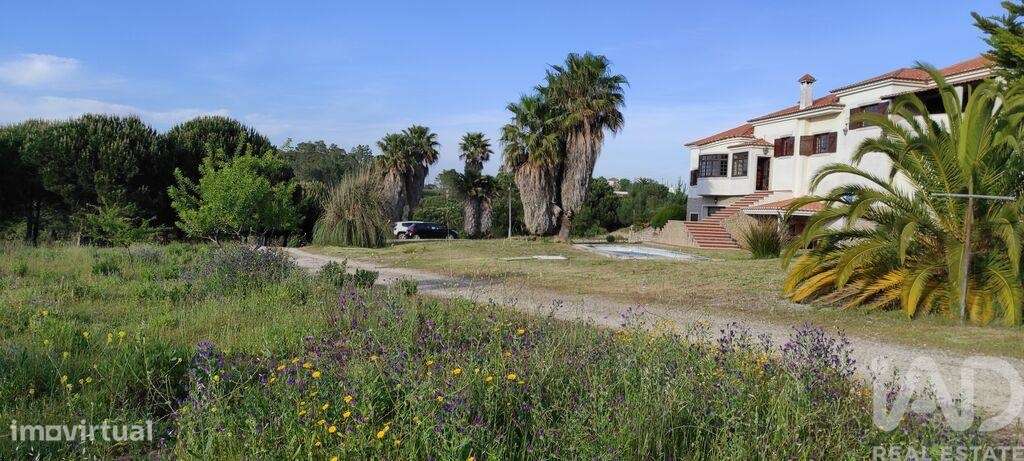 Quinta T5 em Sesimbra (Castelo) de 480,00 m2 - Grande imagem: 4/29