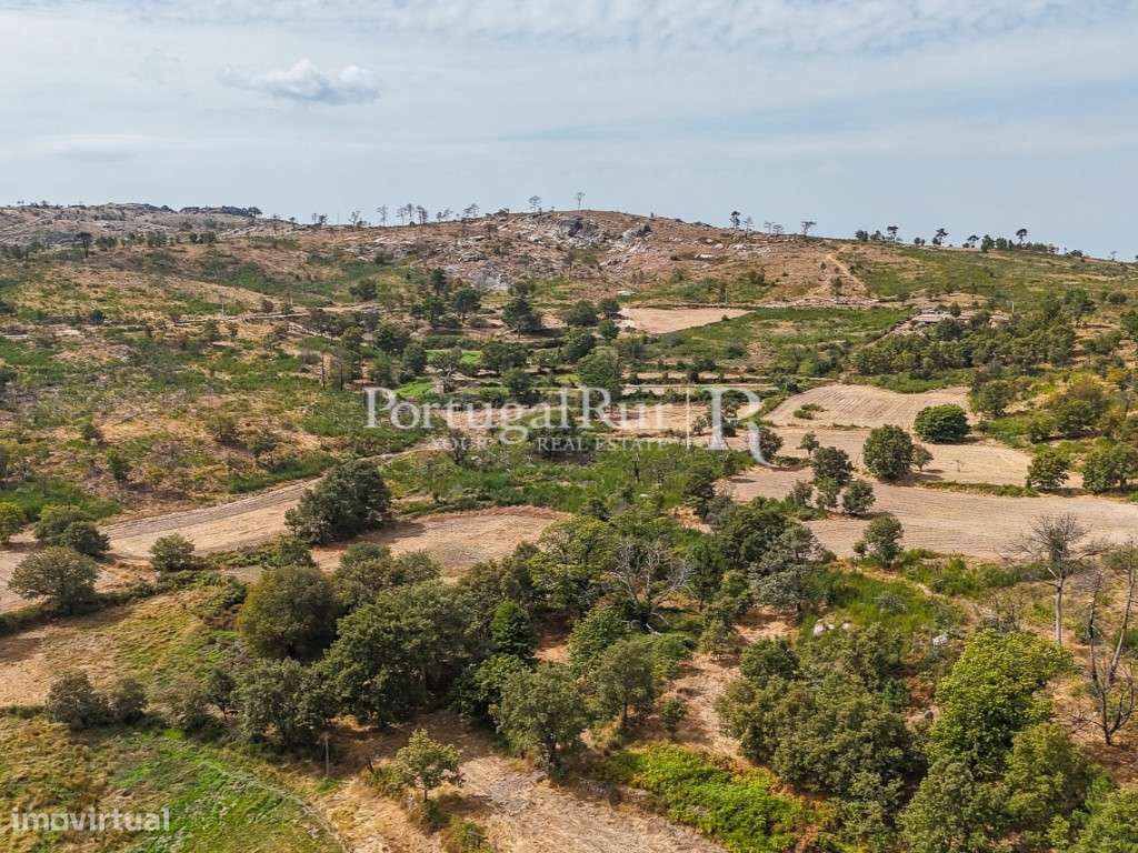 Quinta de 24ha com potencial para Turismo - Grande imagem: 5/57