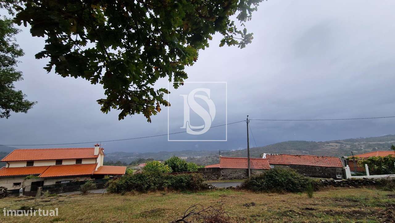 Vivenda de campo e vários terrenos para venda em Zebral, Vieira do Min-34