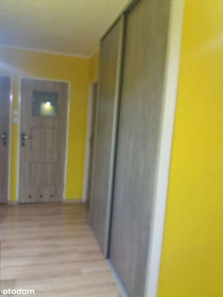 pokój 1-osobowy ul Jęczmienna - Pełny obrazek: 4/8