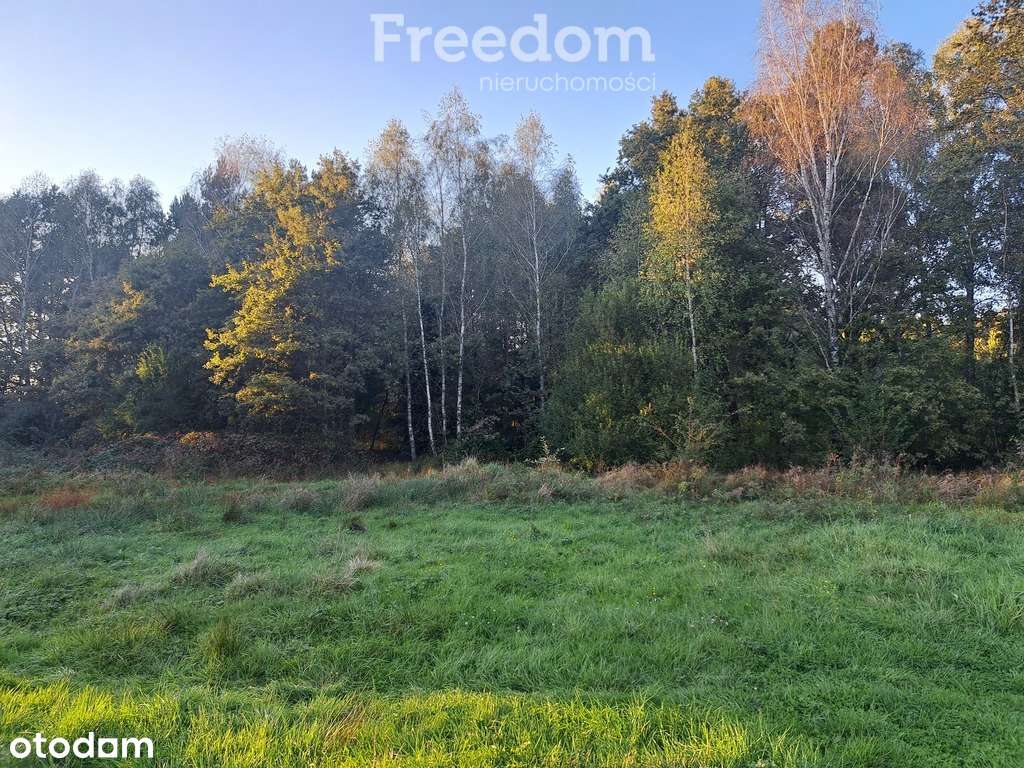 Na sprzedaż działki rolne. - Pełny obrazek: 4/4