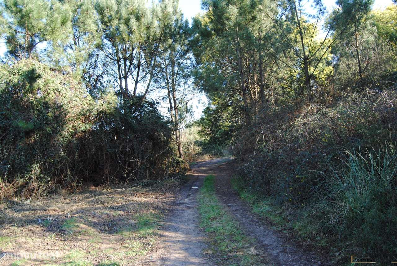 Terreno com viabilidade para construção, em Macieira da Maia - Grande imagem: 5/5