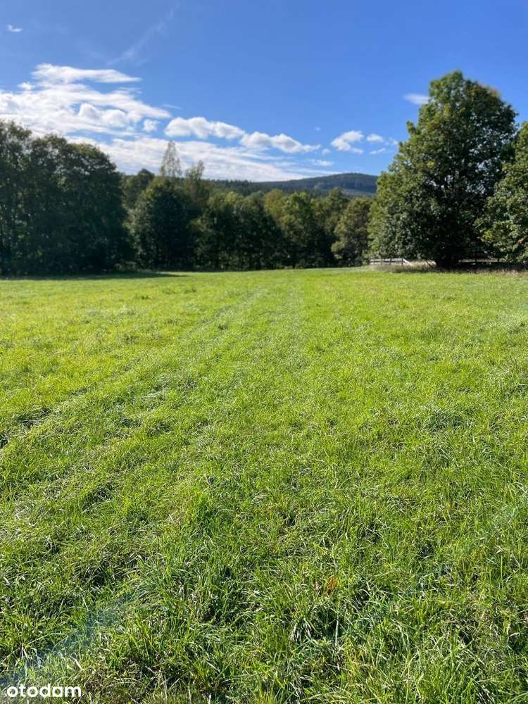 Raj dla miłośników natury i spokoju! Chromiec - Pełny obrazek: 3/3