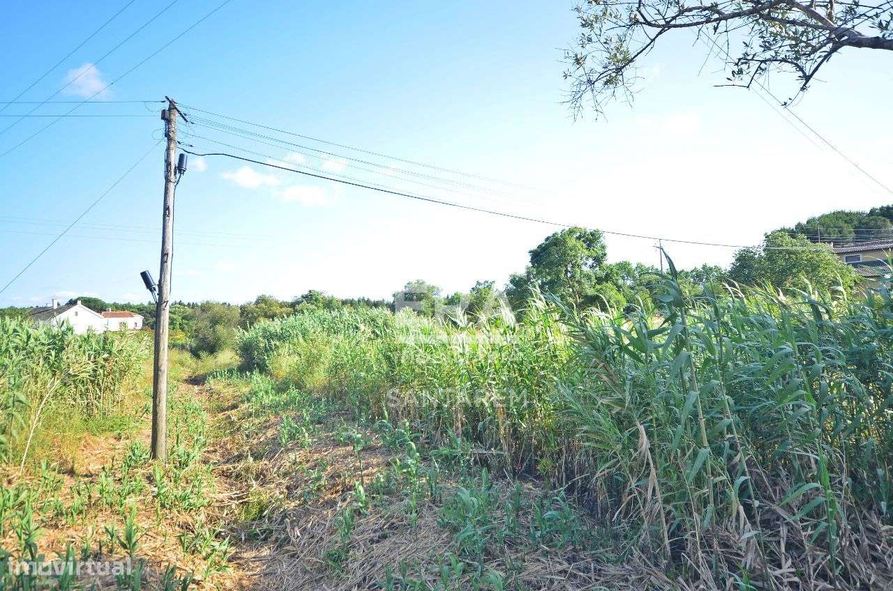 Terreno com 11.400 m2 - Grande imagem: 5/7