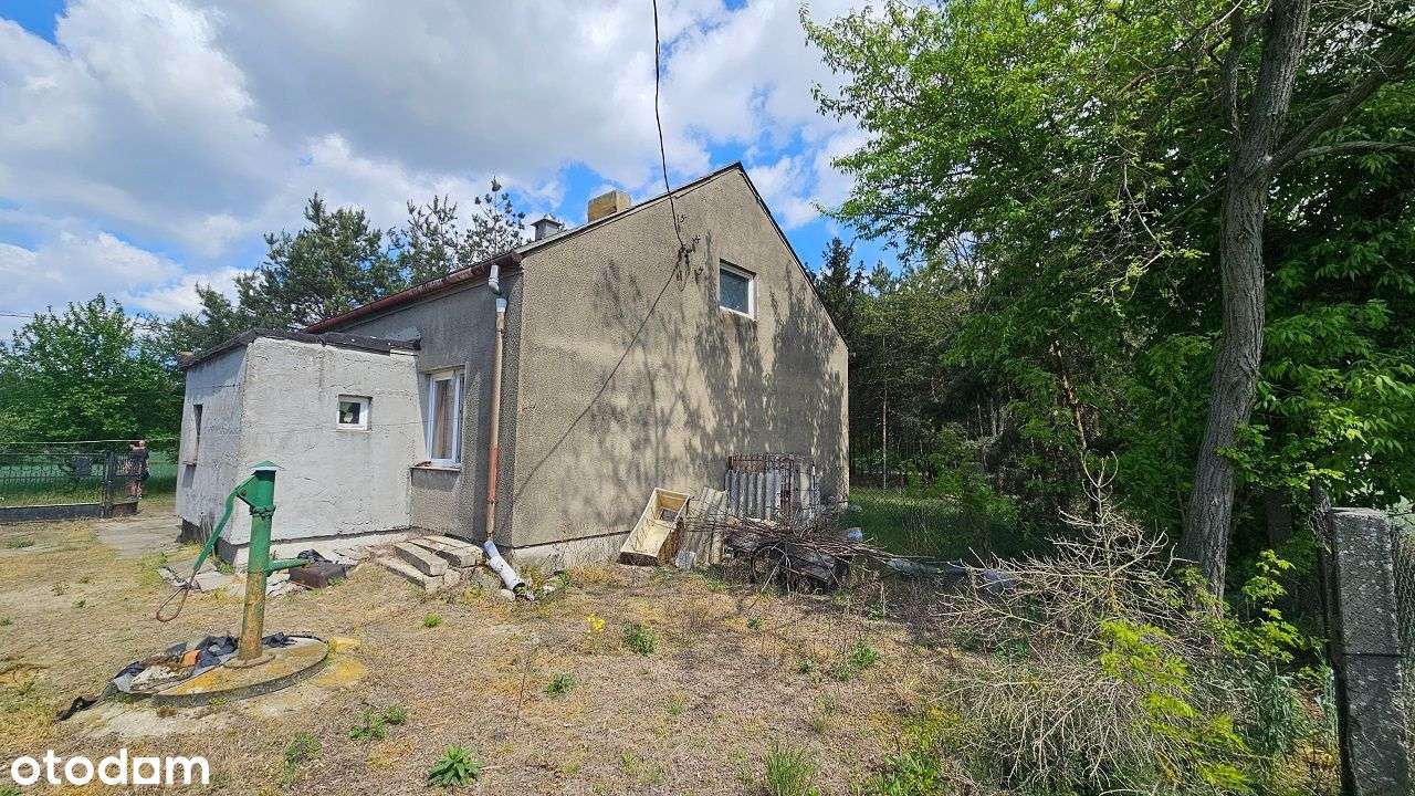 Siedlisko z potencjałem – Piotrków Kujawski, możliwość podziału-13