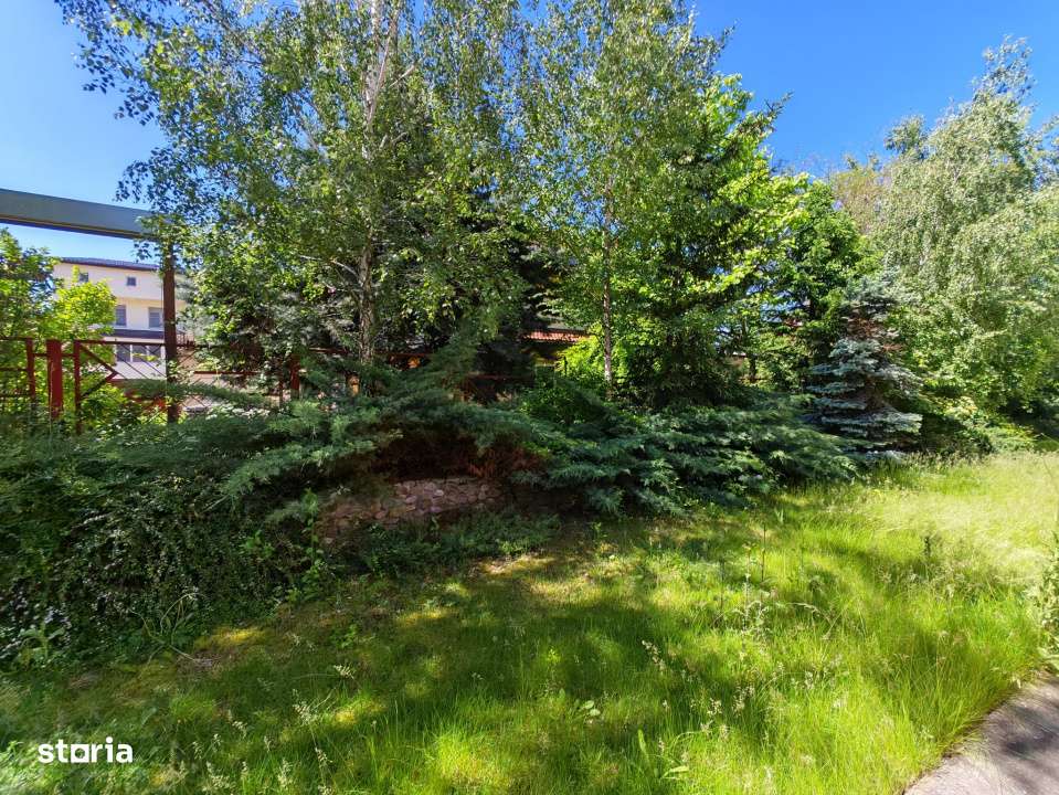 Vila in Pipera, spatioasa, retrasa, multifamiliala - intimitate totala-5