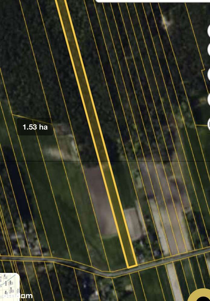 Chojny, 4 działki o łącznej powierzchni 3,5ha, zab.siedliskowa-1