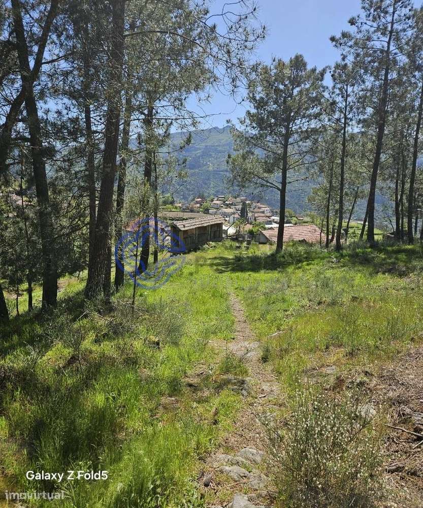 TERRENO CINFÃES - Grande imagem: 5/37