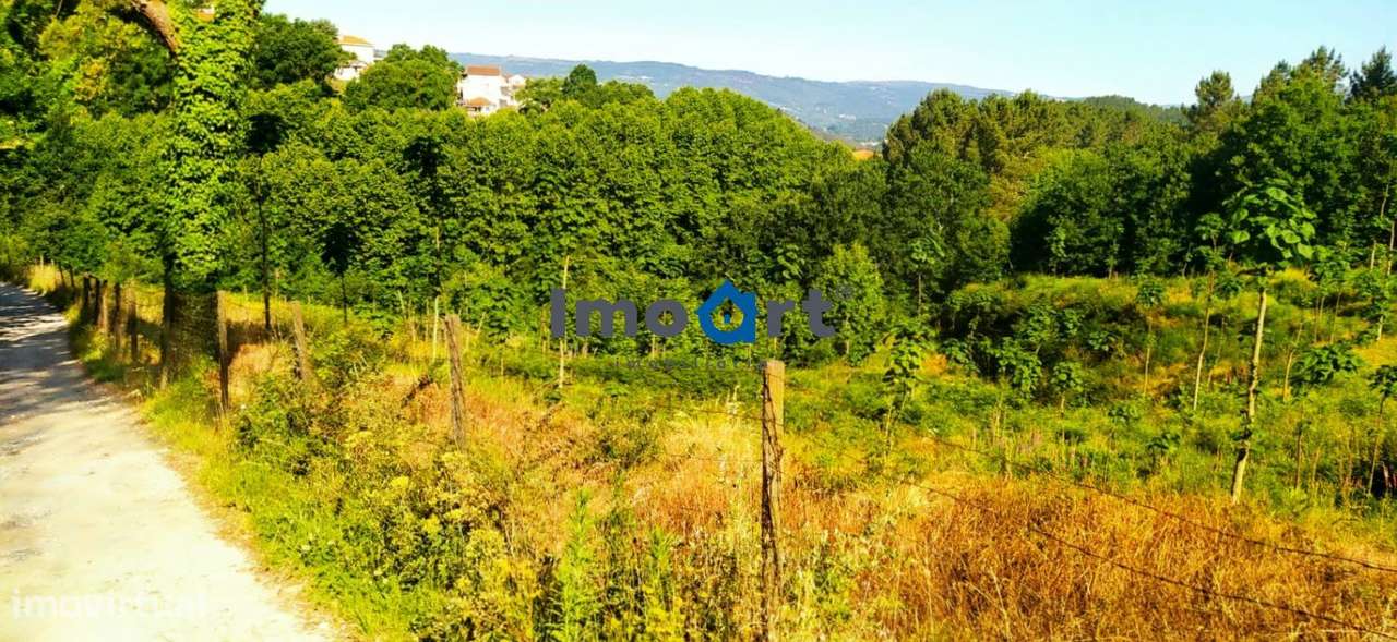 Terreno com nascente de Água!-10