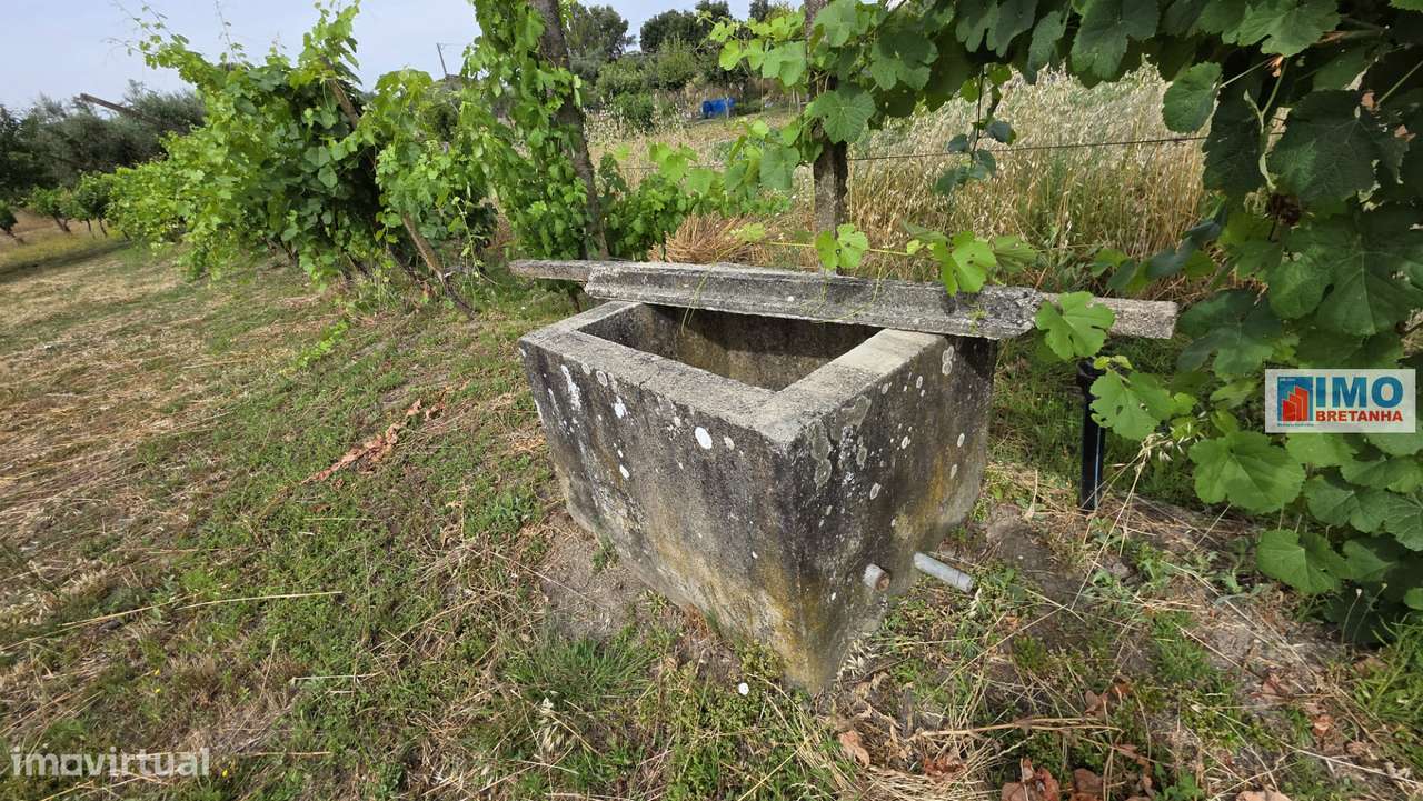 Quinta com garagem em Escalos de Cima-10