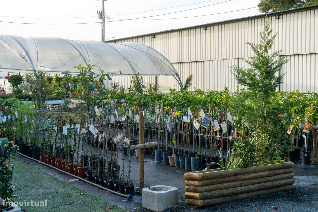 Trespasse de Centro de Jardinagem – Negócio Completo e Equipado - Beja-24