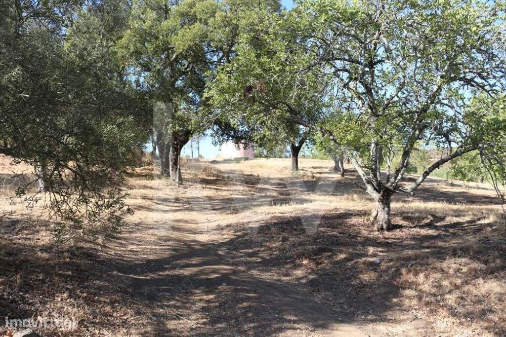 Terreno com ruína em Querença, concelho de Loulé, com parte urbana