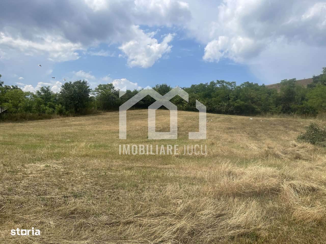 Teren Intravilan Constructrii 2258mp - Gadalin - Imagine principală: 5/6