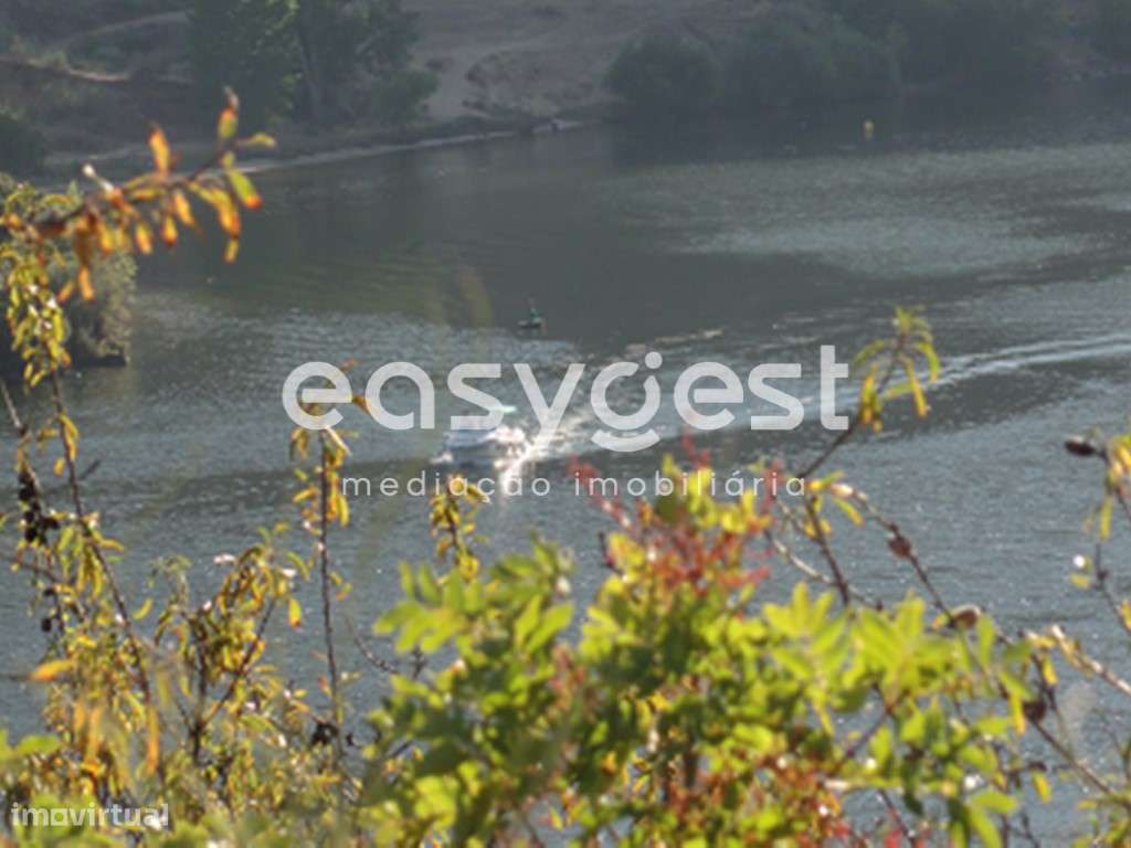 Fantástico terreno agrícola com margem de Rio. - Grande imagem: 5/11