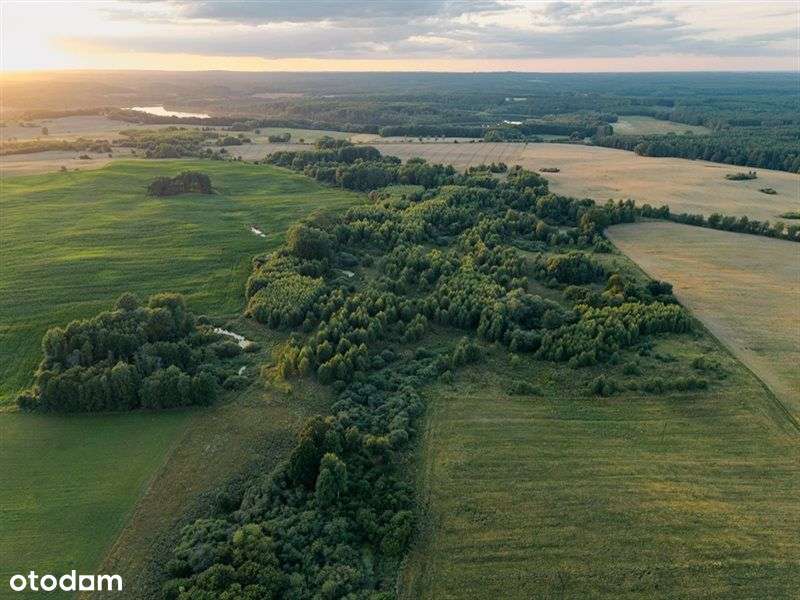 Działka rolna 11 ha-siedlisko, inwestycja, OZE - Pełny obrazek: 4/13