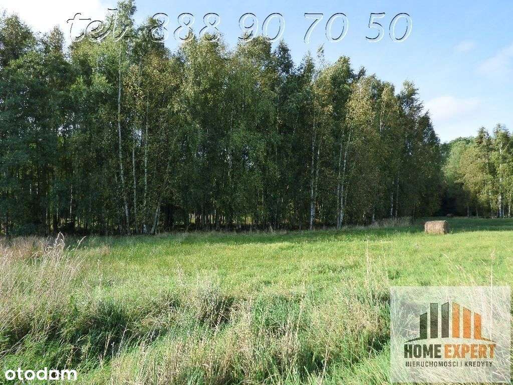 Atrakcyjne działki Trójca koło Zgorzeleca - Pełny obrazek: 5/5