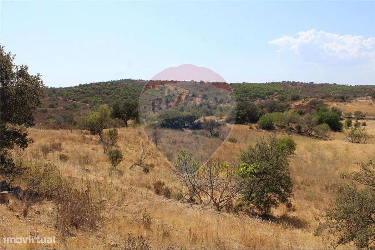 Terreno  para venda - Grande imagem: 5/6