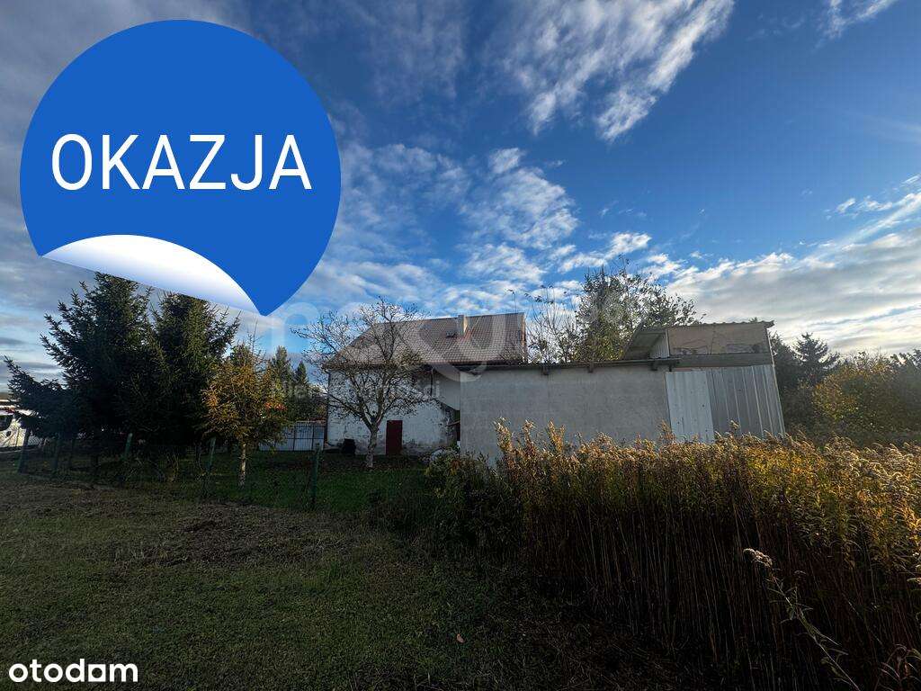 Miejsce na prowadzenie biznesu i mieszkanie - Pełny obrazek: 5/13