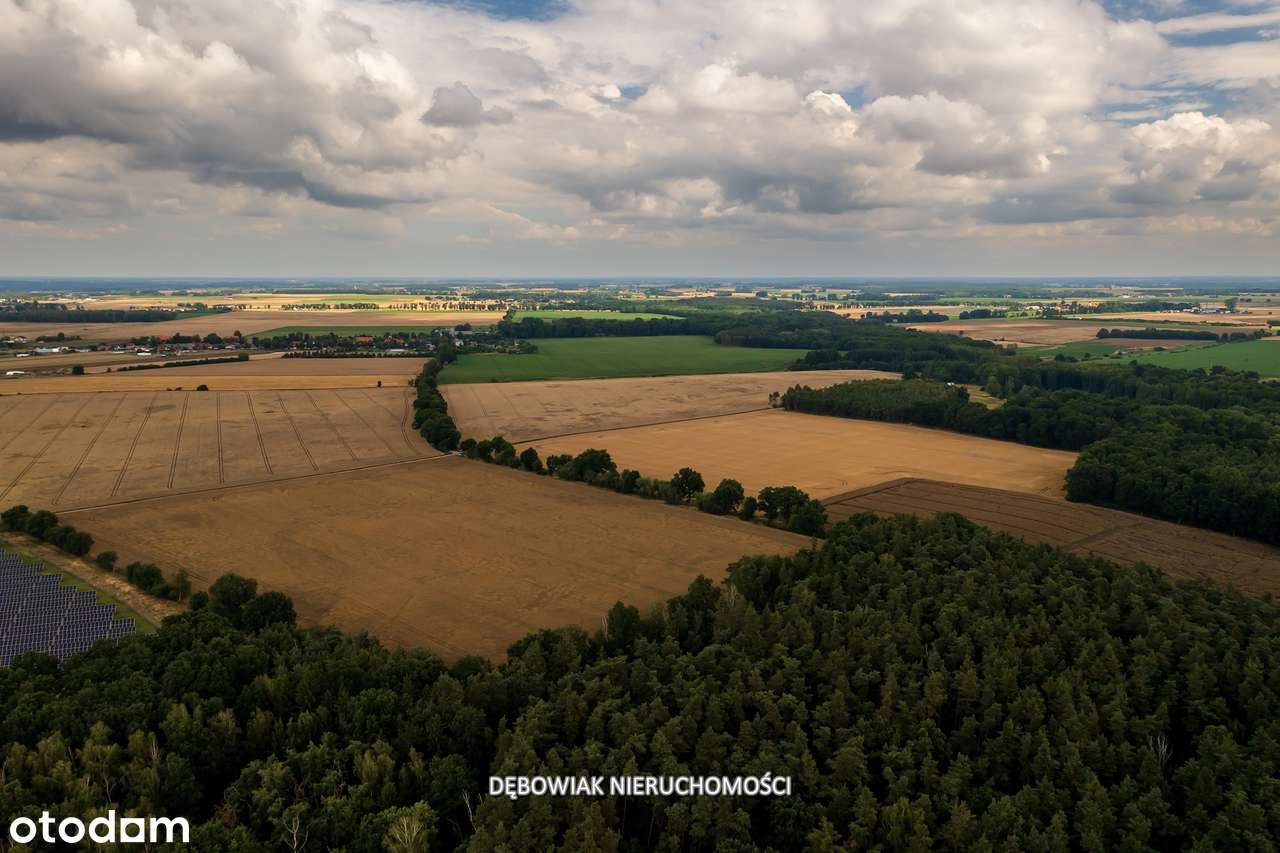 II etap sprzedaży / Atrakcyjne nowe osiedle w Gronówku / blisko Leszna-6