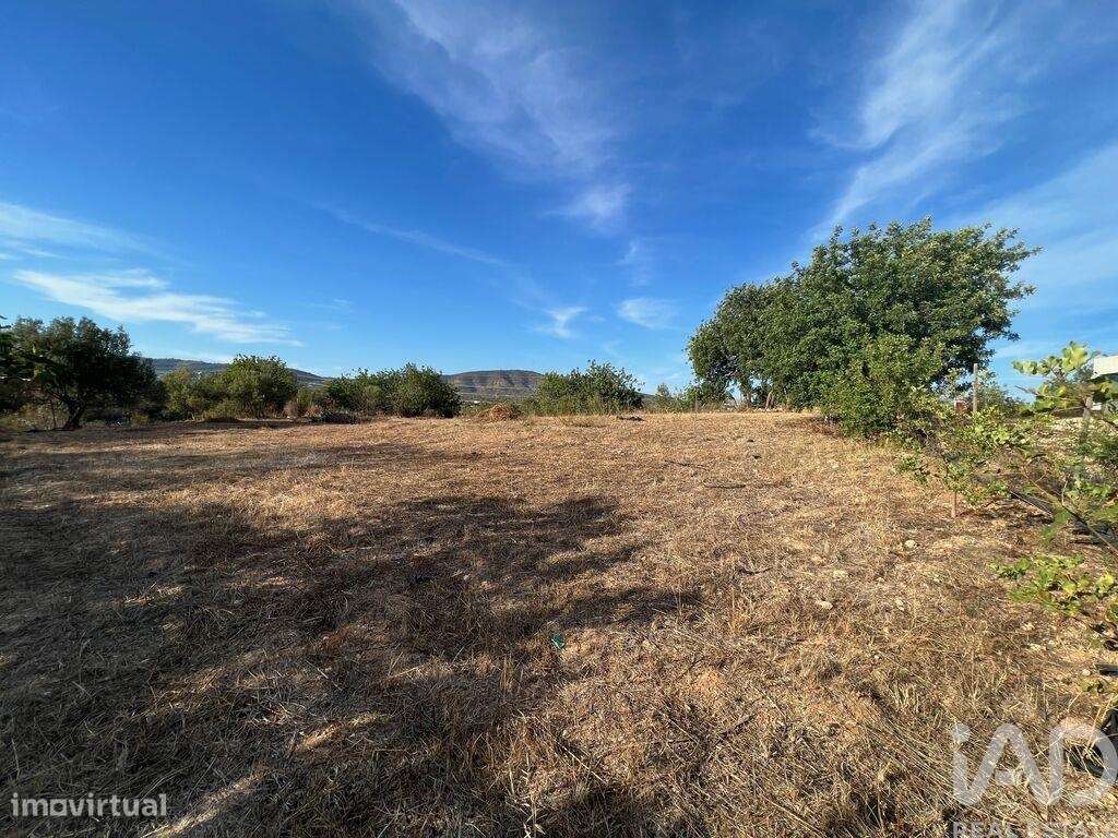 Terreno Agrícola em Quelfes de 1600,00 m2 - Grande imagem: 4/8