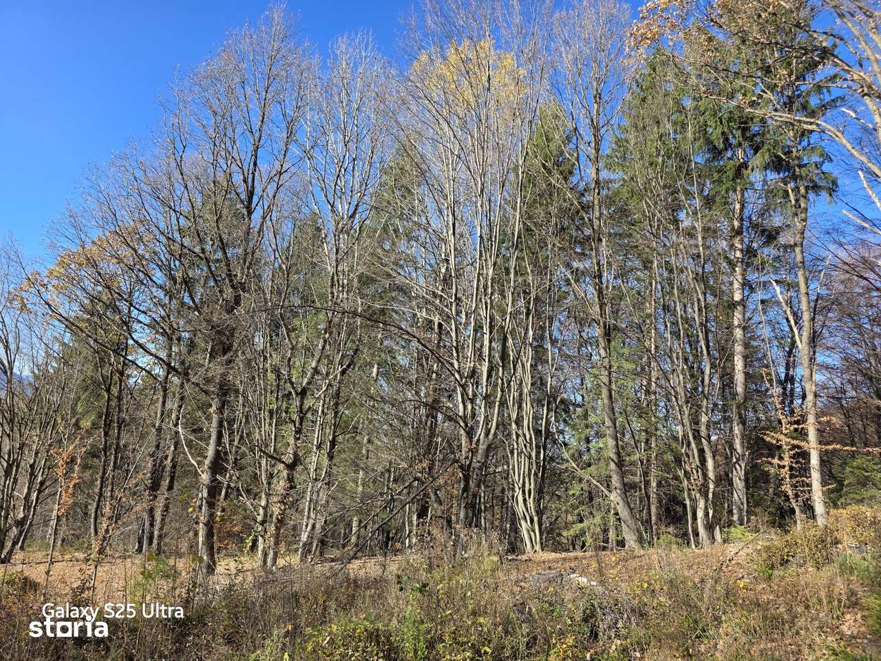 Oportunitate teren în cea mai pitorească zonă de munte! Comision zero!-10
